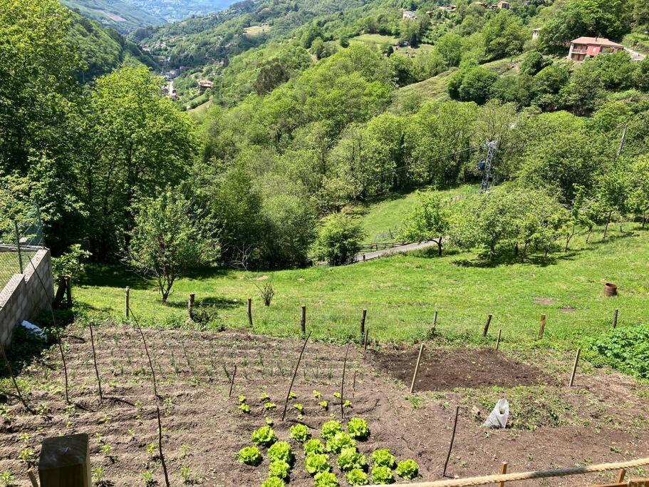 La So Casa -En El Corazon De Asturias Villa Armiello Kültér fotó