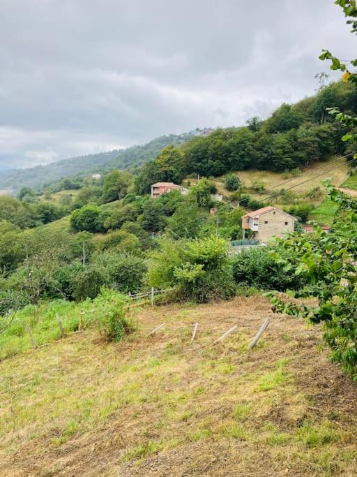 La So Casa -En El Corazon De Asturias Villa Armiello Kültér fotó